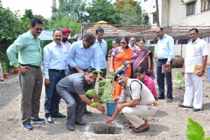 Lokmanya Tilak Higher Secondary School-Tree Plantation