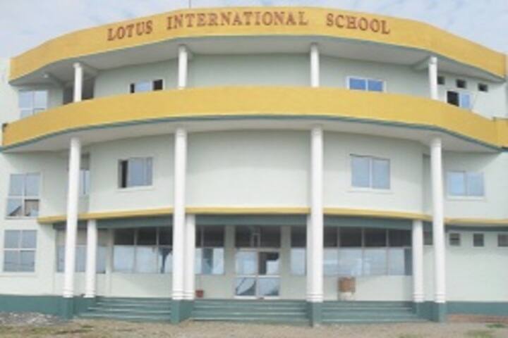 Lotus International School-School Building