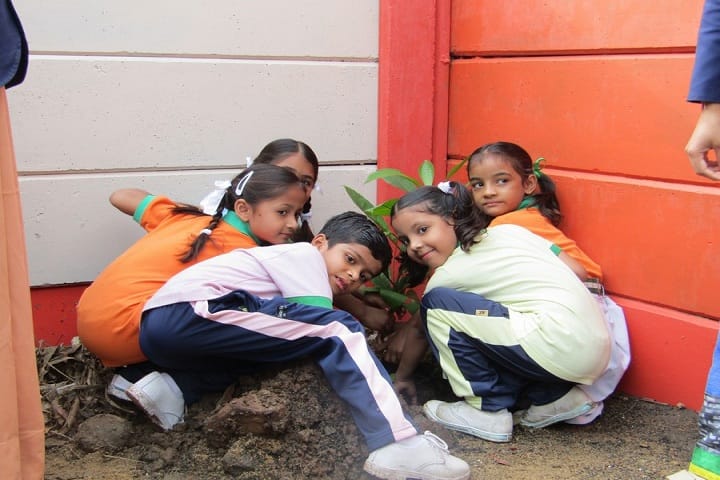 Lourde Mata Convent School-Tree Plantation