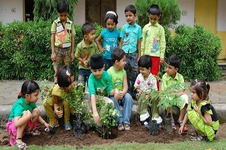 Maharishi Vidya Mandir-Others Plantation