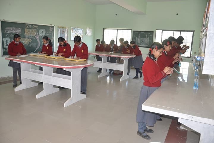 Narmada Valley International School-Laboratory physics