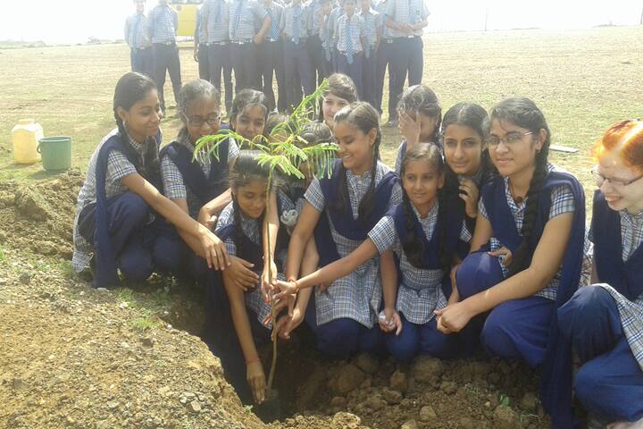 Noble Public School-Tree Plantation