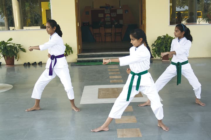 Paramount Academy-Karate