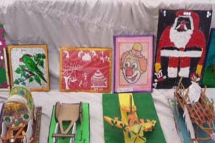 Peoples Public School-Exhibition