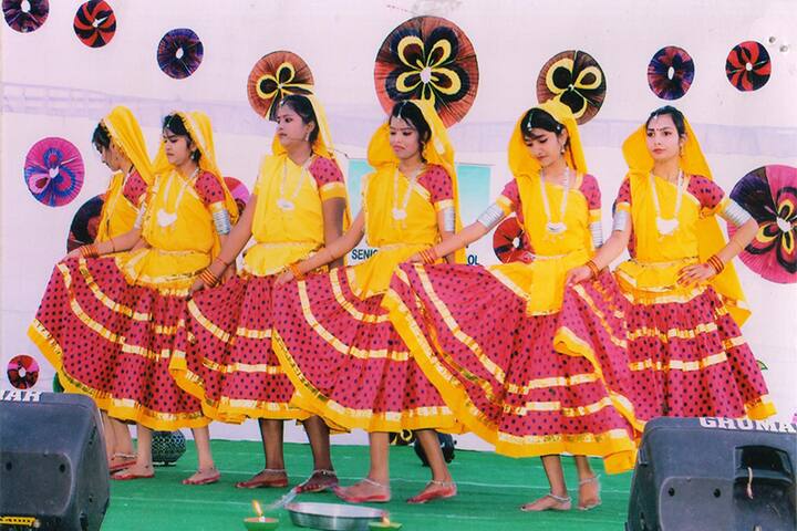 Pragyan English Medium Co Educational School-Cultural Event