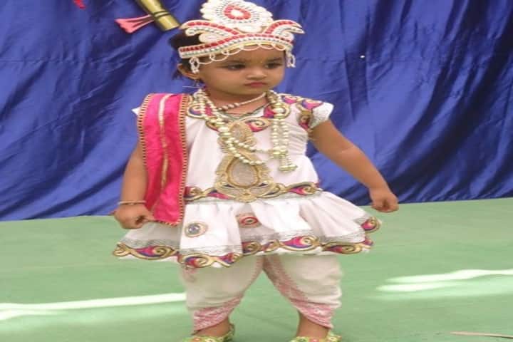 Prof Santosh Mittal Higher Secondary School-Fancy Dress