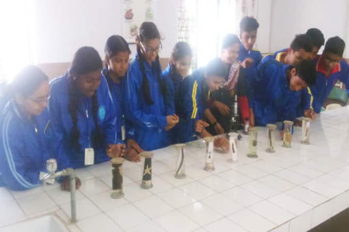 Queen Marys Senior Secondary School-Biology-Lab