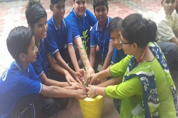 Rass Jb Public School-Tree Plantation