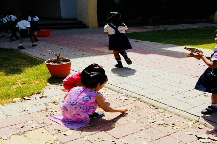 SDPS International School-Swachh Bharat