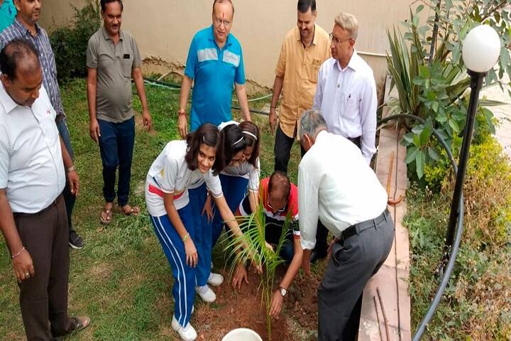 Saket Mgm Senior Secondary School-Plantation