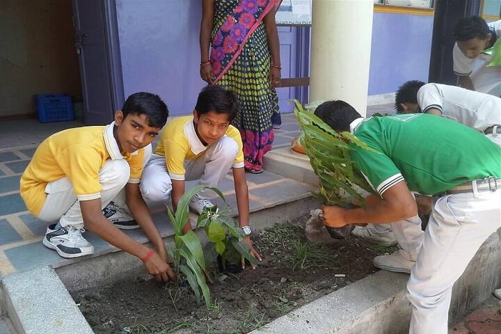 Sant Sri Asaramji Bapu Gurukul-Plantation