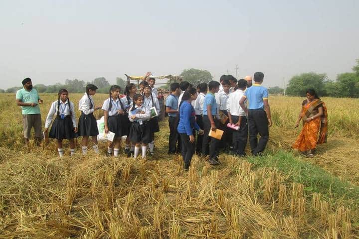 Sarti International School-Field Visit