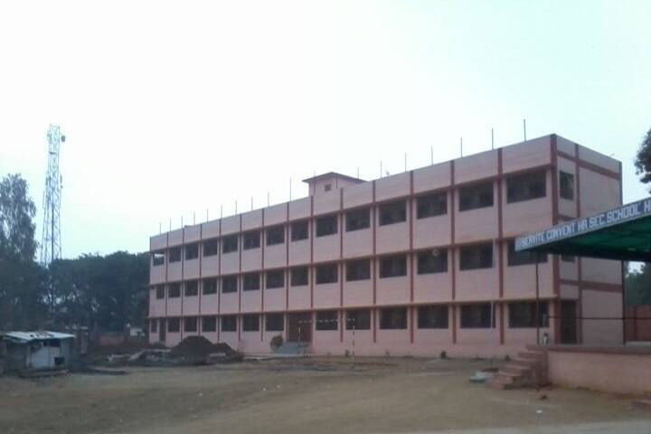 Servite Convent Higher Secondary School-Campus