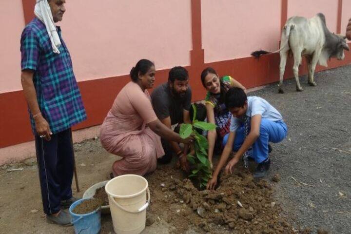 Servite Convent Higher Secondary School-Plantation