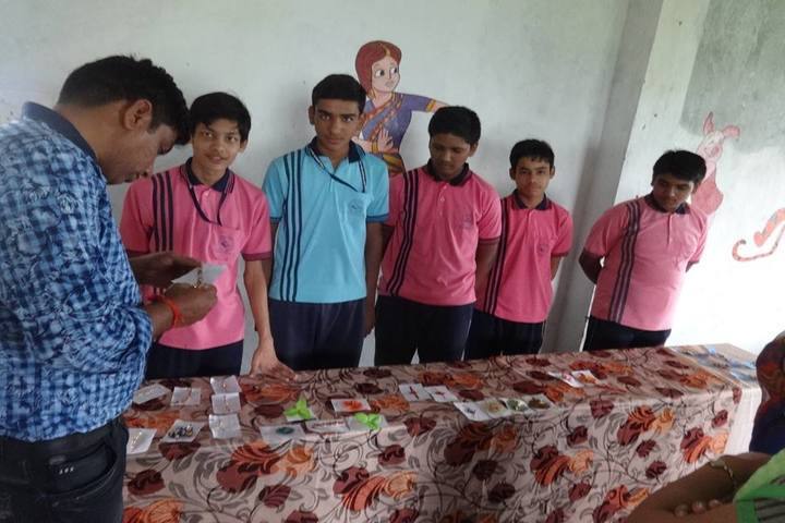 Shashwat International School-Activities