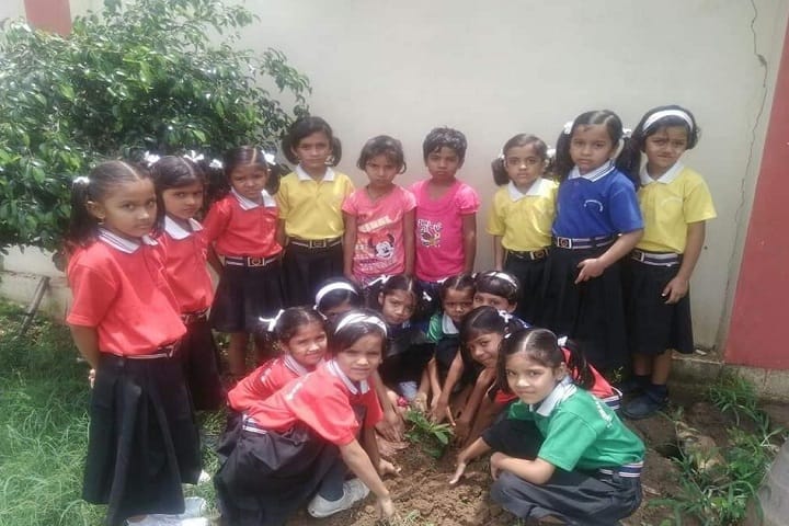 Shiv Shakti International School-Others plantation