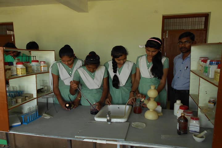 Shri Ramji Lal Senior Secondary School-Biology Lab