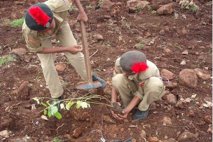 Shri Vaishnav Academy School-Plant A Tree
