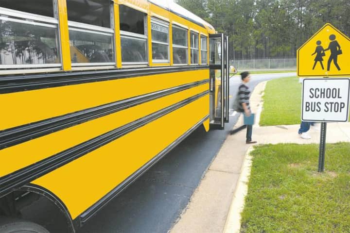 Sohagi Public School-Transport