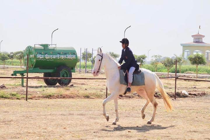 Springfield World School-Horse Riding