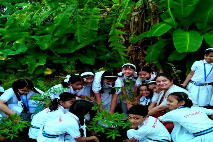 St Thomas Convent Senior Secondary School-Activity