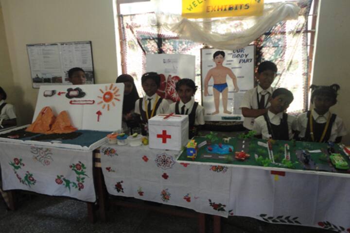 St Xavier School-Science Fair