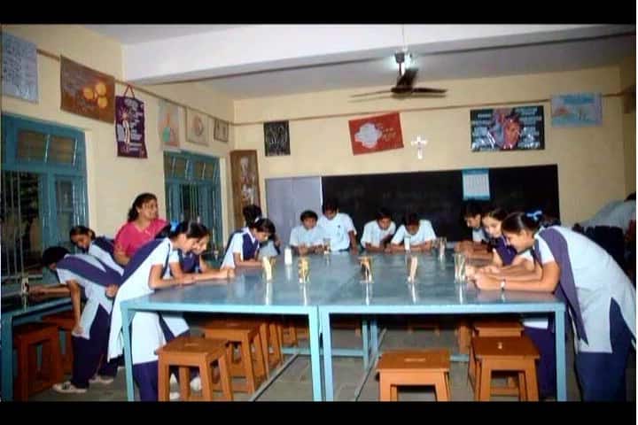 St Mary S Convent Senior Secondary School-Biology Lab
