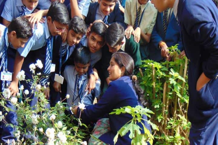 St Francis Convent School Budni-Gardening