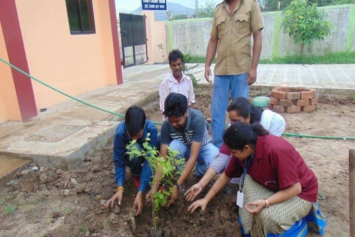 St Francis Convent School Budni-Planting