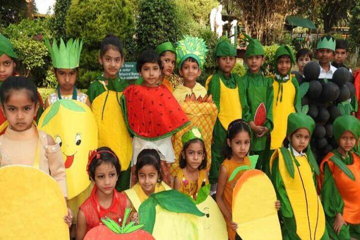 St Raphael Co Ed School-Fancy Dress