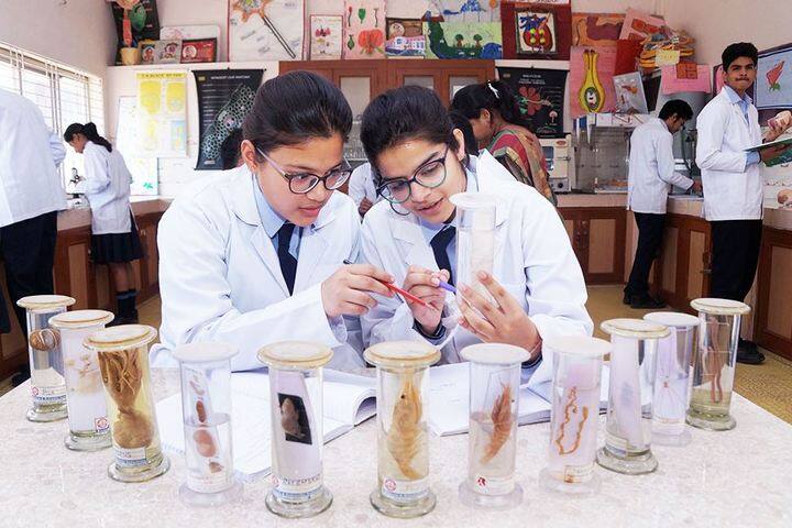 Standard Public School-Biological Lab