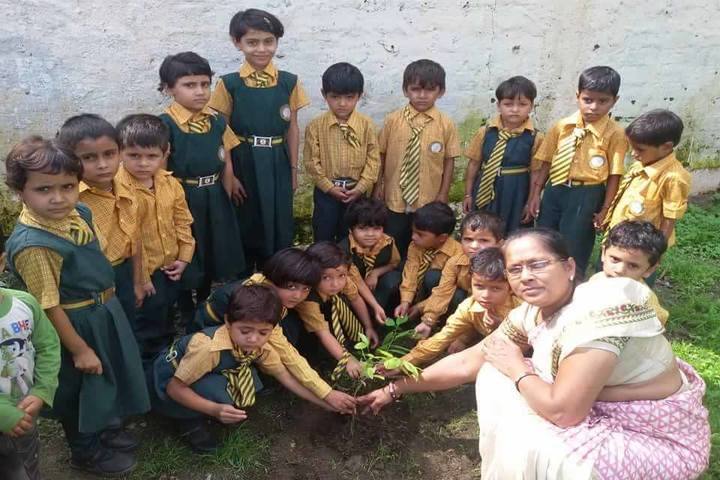 Swami Vivekanand Adarsh Higher Secondary School-Plantation
