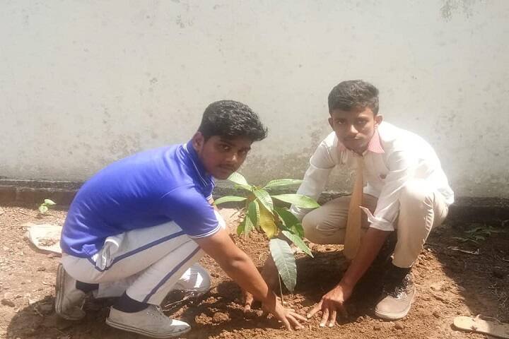 Cambridge Public School-Plantation
