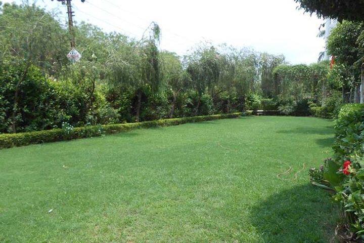 The Radiant School Garden Area
