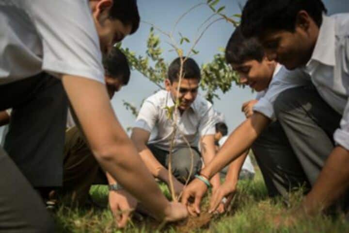 The Scindia School-Planting