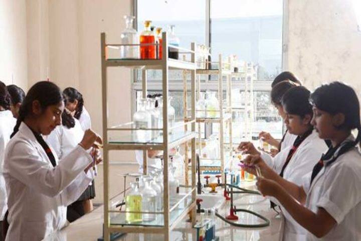 The Vidhyanjali International School-Lab