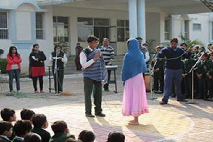 The Wood Stock School-Activity