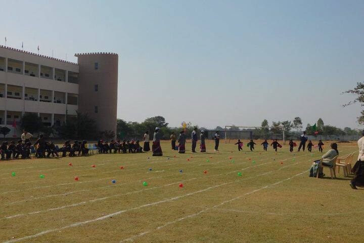 Vidya Bhavan Public School-Play Ground