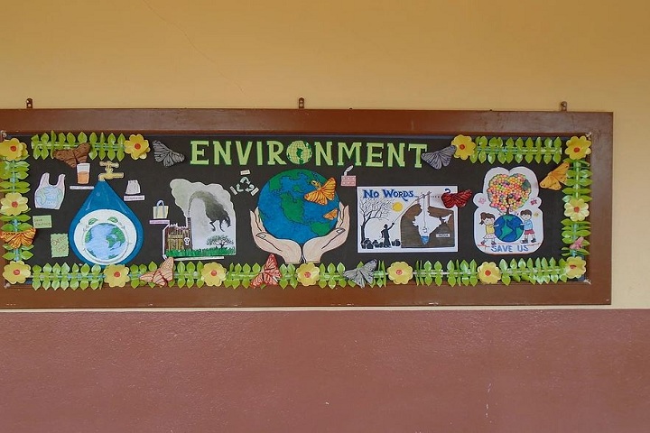 VIMLA CONVENT HIGHER SECONDARY SCHOOL-Environment Day