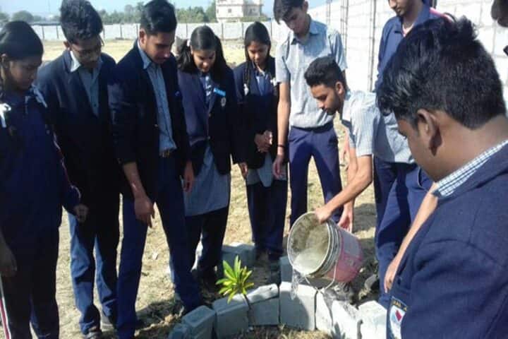 Vindhyachal Academy-Plantation