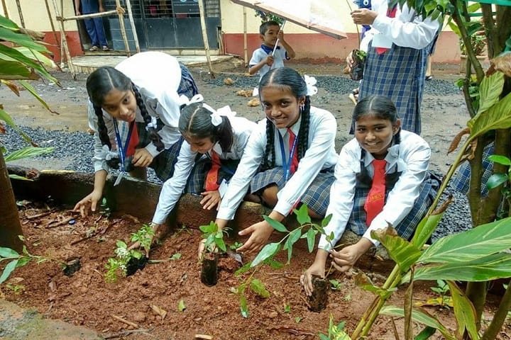 Airson English School-Others plantation