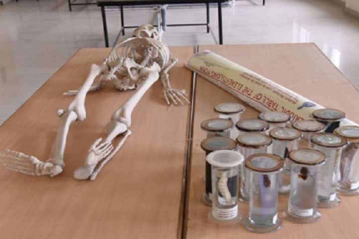Alard Public School-Biology Laboratory