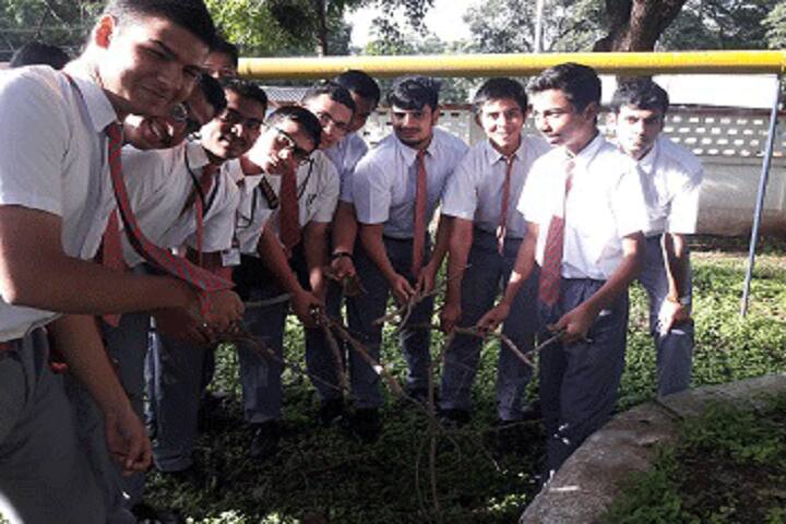 Army Public School-Plantations