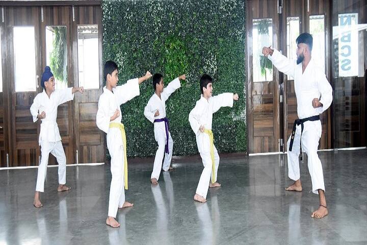 ASP Public School-Karate