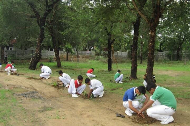 Ballarpur Public School-Tree Plantation