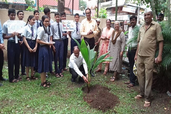 Bharati Vidyapeeth English Medium School-Tree Plantation
