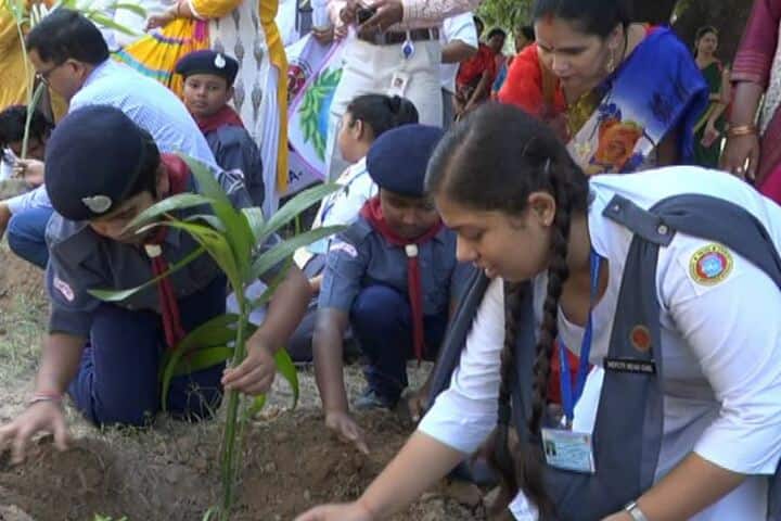 Christ Church Diocesan School-Tree Plantation