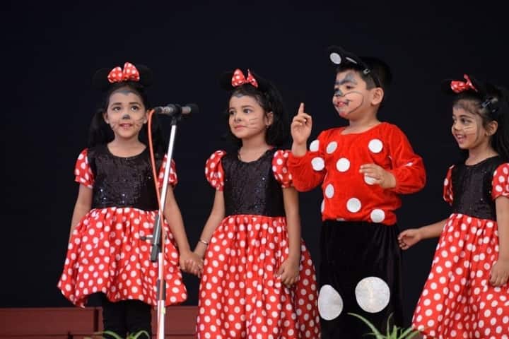 Delhi Public School-Annual Function