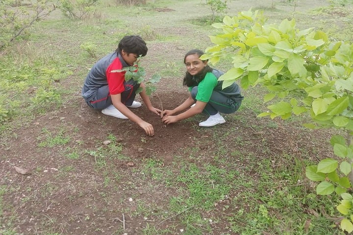 Deogiri Global Academy-Tree Plantation