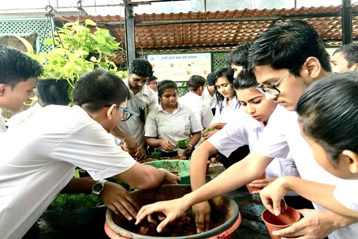 Harmony International School-Plantation
